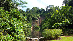 The Sen (D21), Condominium #475546081